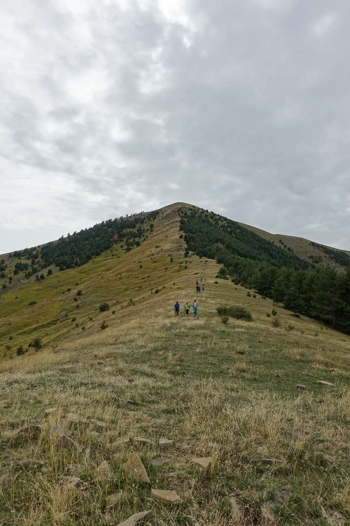 A 2019-09-14 16-21-47